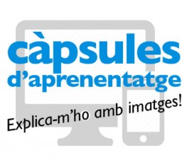 logo_capsules